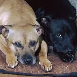 Meet your Posher, Joanne